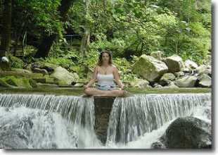 Renew Your Mind