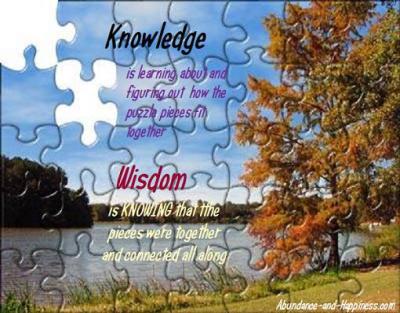 Chuck Danes - Wisdom vs Knowledge