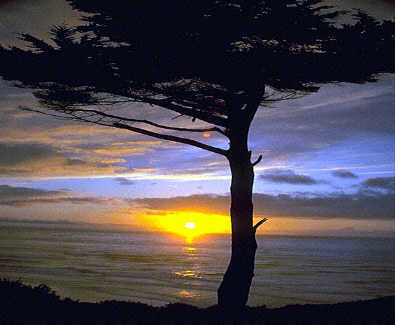 Spiritual Enlightenment Spiritual Enlightenment