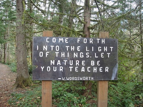 Let nature be your teacher
