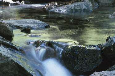 Acceptance Is Like The Peace and Calm Of A Quiet Brook