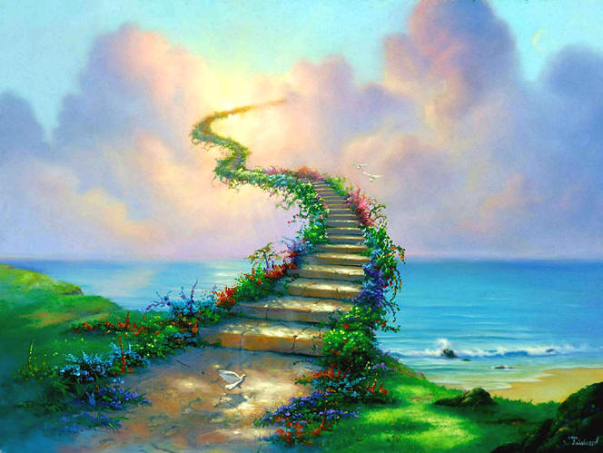 Navigating The Narrow Path Navigating The Narrow Path